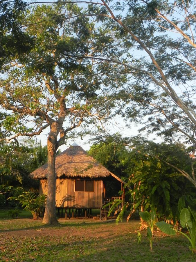 פוארטו מלדונדו Green Diamond Amazon Lodge מראה חיצוני תמונה