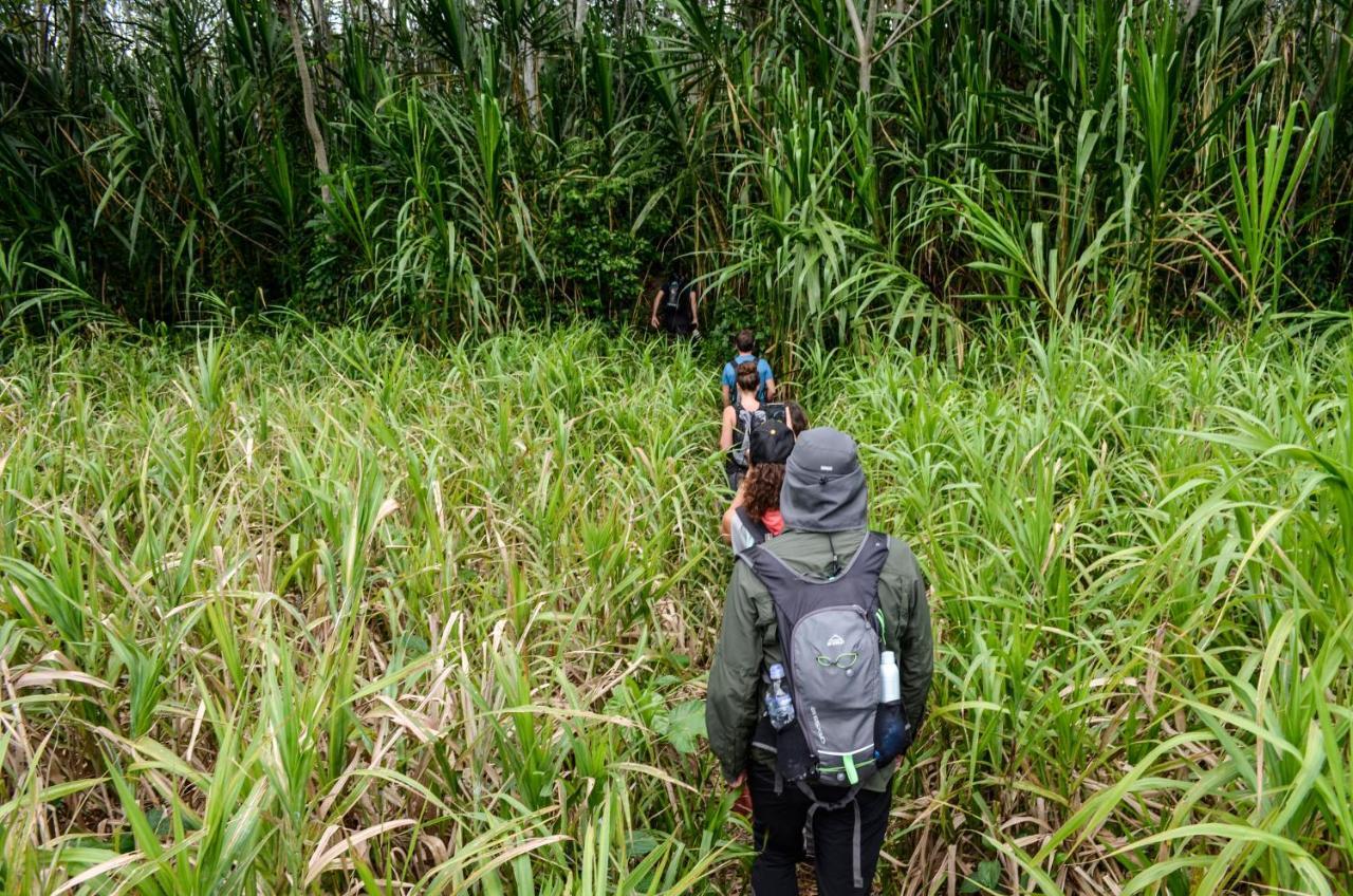 פוארטו מלדונדו Green Diamond Amazon Lodge מראה חיצוני תמונה
